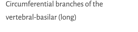 Circumferential branches of the vertebral basilar (long) 