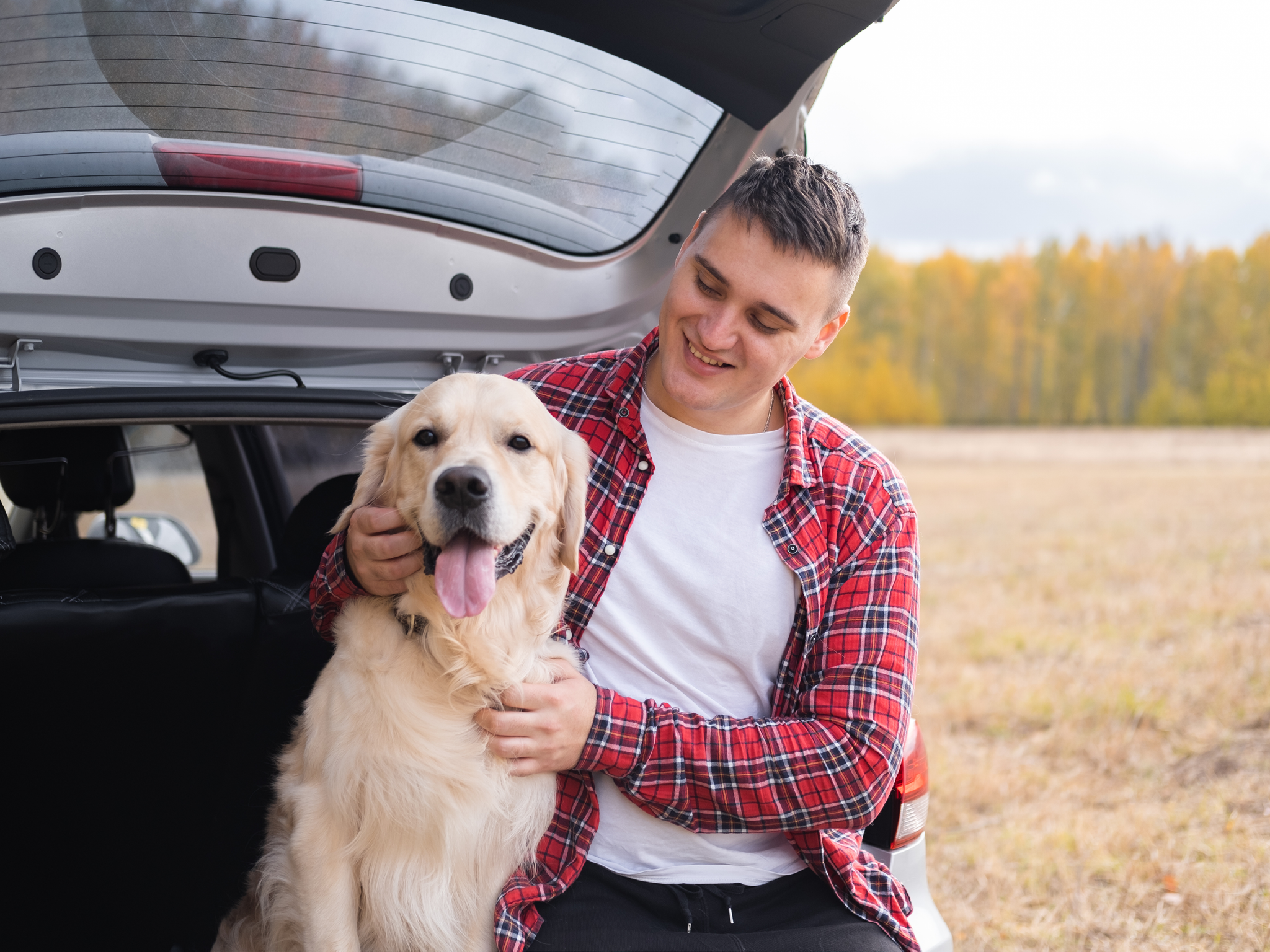 A man sits with his dog in the trunk of a car in the autumn forest. Traveling with a pet. A trip to the nature of the golden retriever and its owner.