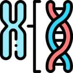 chromosome icon