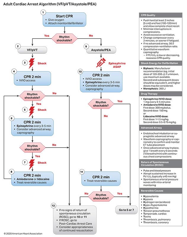 tanenbaum-cardiac-algorithm-AHA-chart