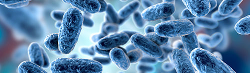 tan-bacterial-infection-01-image