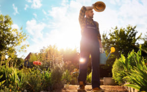 planetary-health-heat-impact-image 1