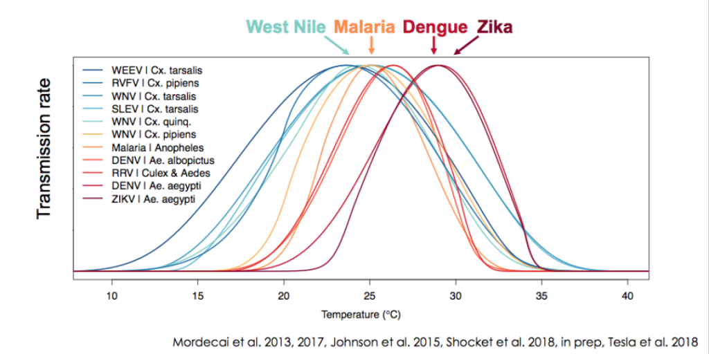 planetary-health-vector-borne-burden