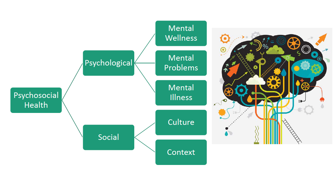 Climate Change And Mental Health - Medicine Digital Learning