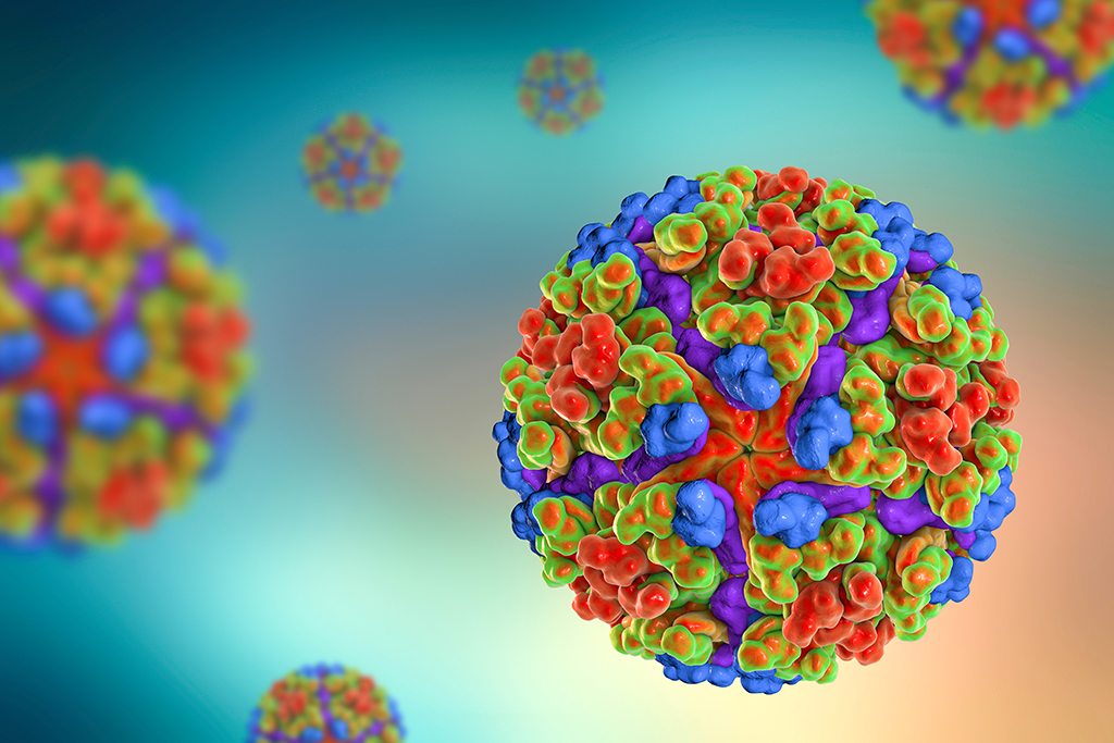 planetary-health-vector-borne-chikungunya