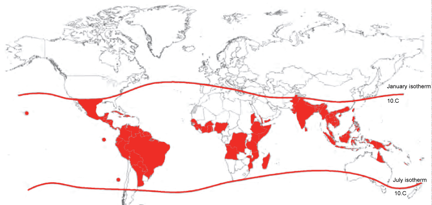 planetary-health-vector-borne-dengue-fever-map