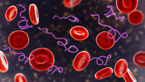 planetary-health-vector-borne-lyme-disease