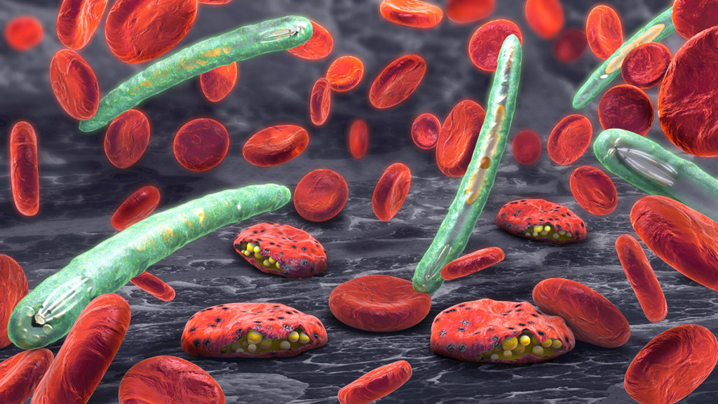 planetary-health-vector-borne-malaria-image