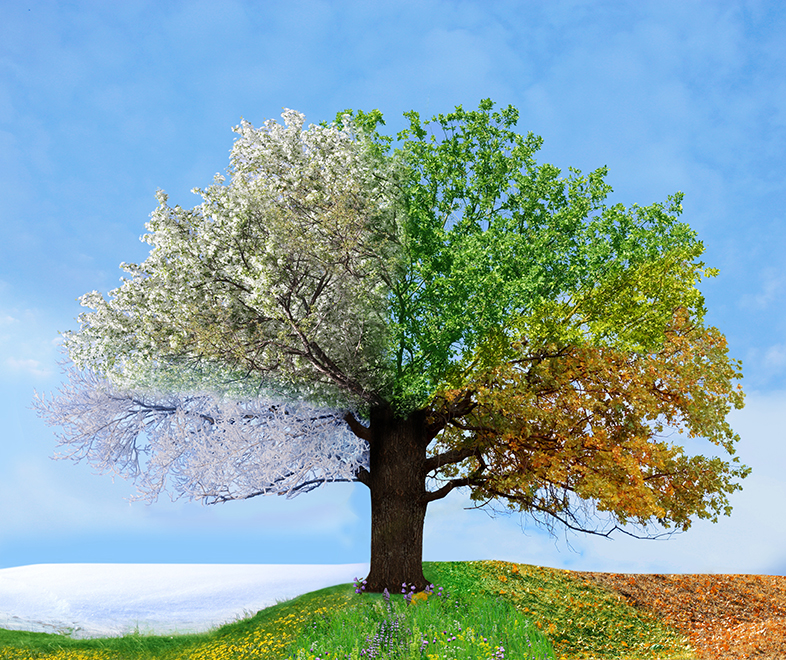 planetary-health-extreme-weather-climate-definition-image