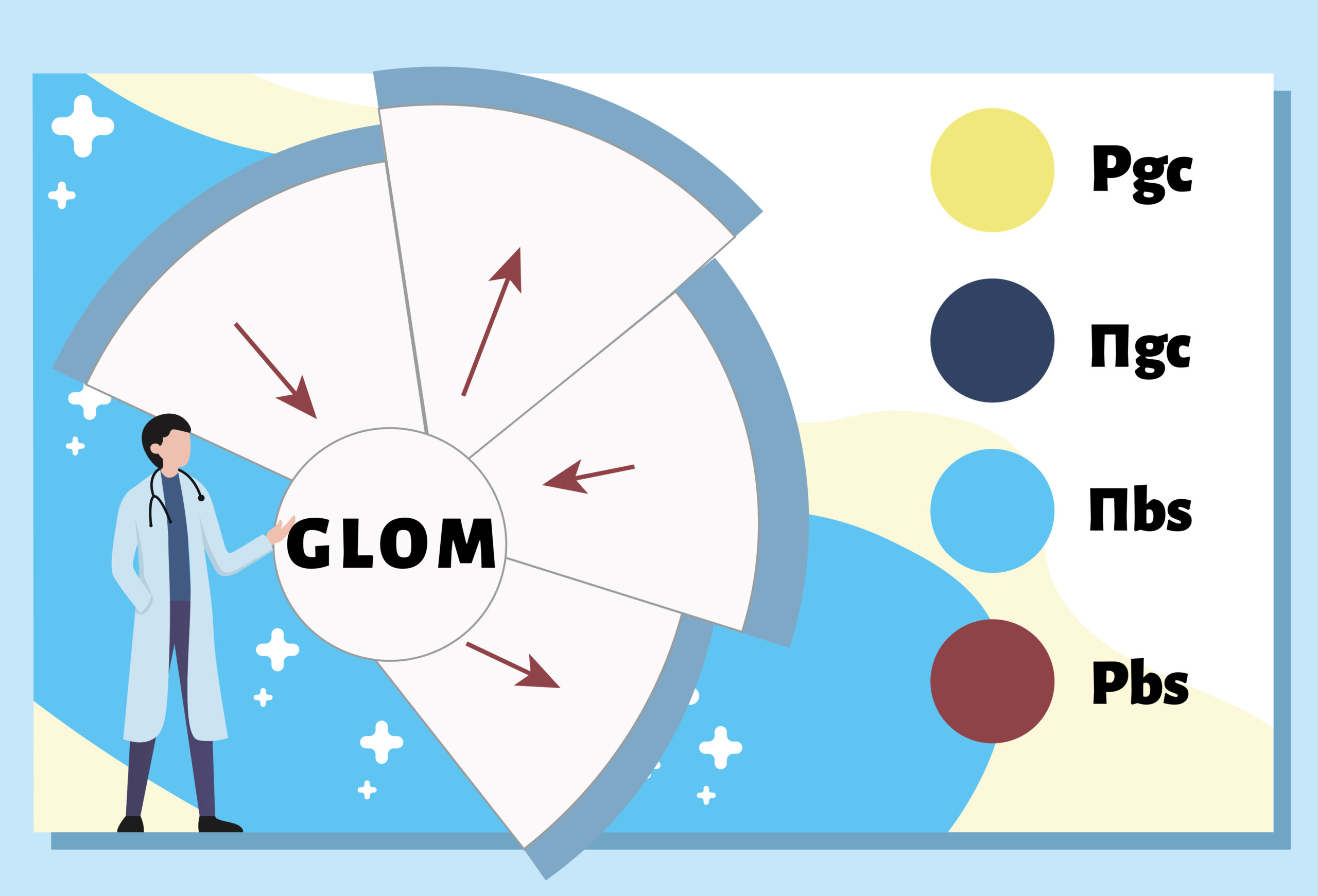 renal-glomerular-physiology-describe-graphic