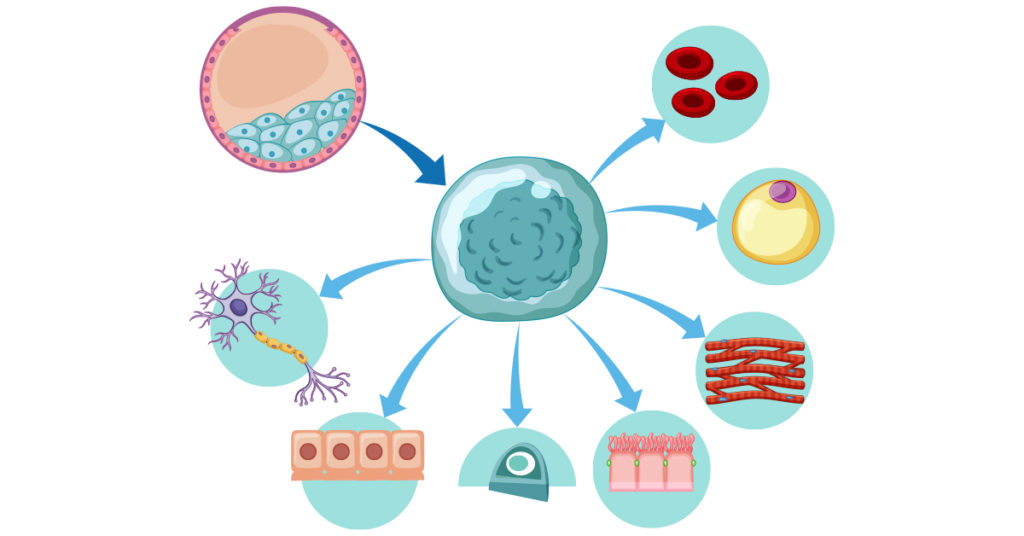 cellular-physiology-general-cell-physiology-graphic-image