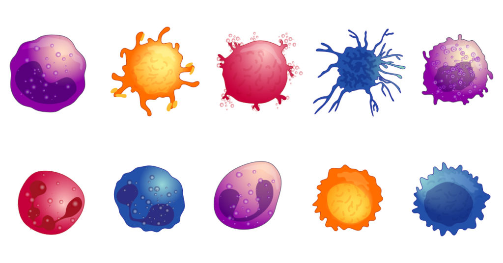 cellular-physiology-immunocyte-physiology-graphic-image