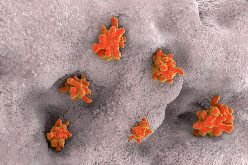 summary-table-entamoeba-histolytica-3D-illustration