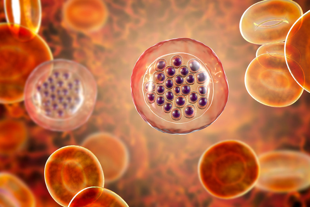 summary-table-malaria-image