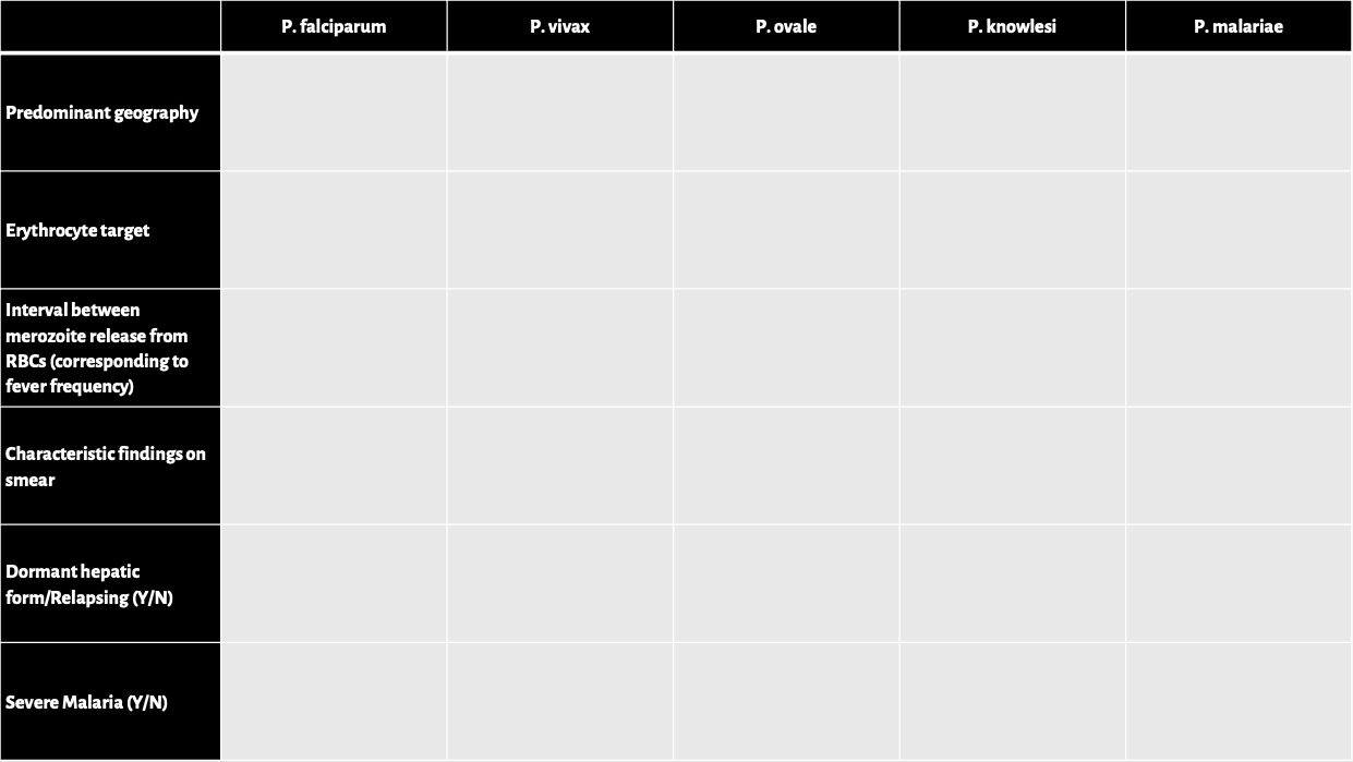Summary Table Malaria Medicine Digital Learning