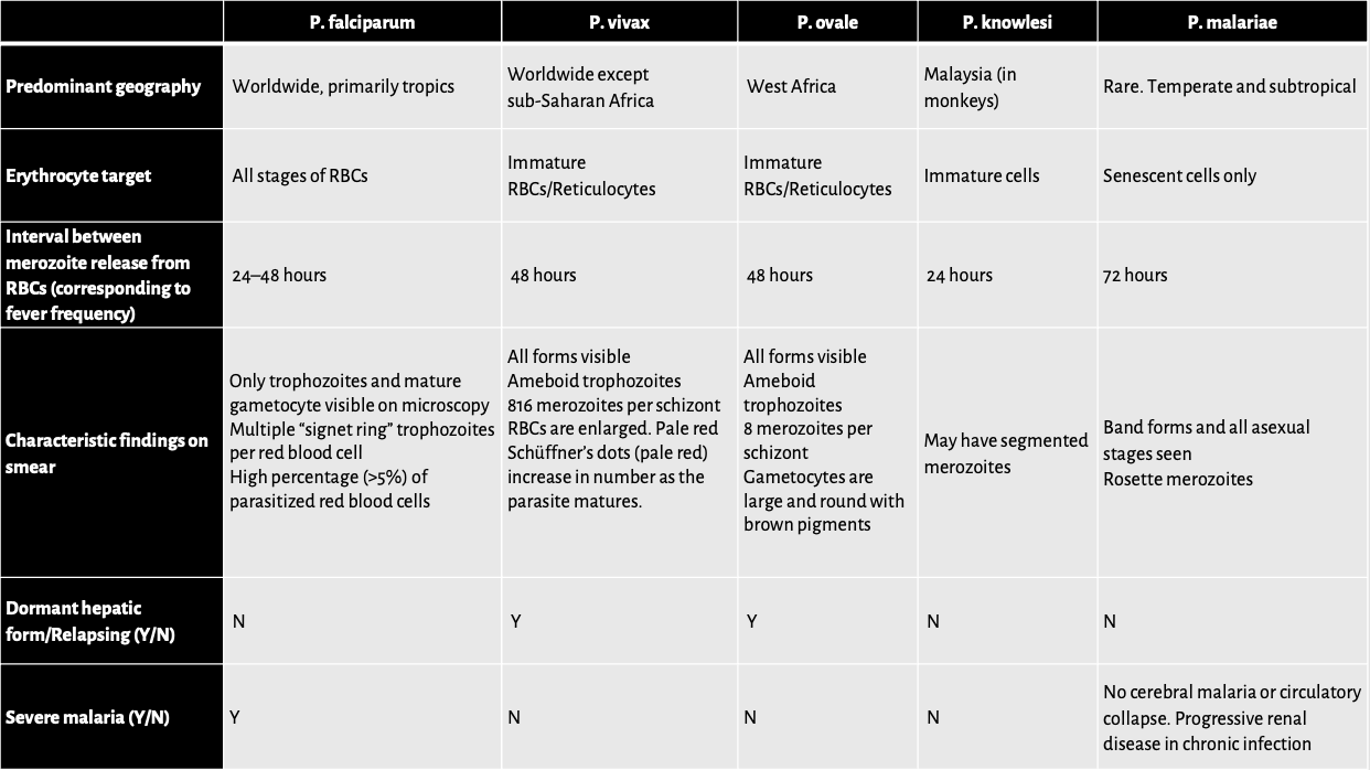 Summary Table Malaria Medicine Digital Learning