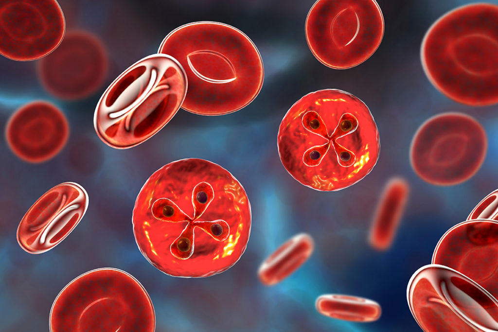 summary-table-tissue-blood-protozoa-featured-image