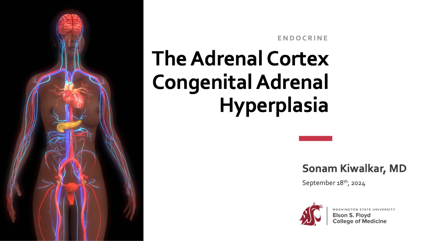 05-01-Adrenal Cortex Congenital Adrenal Hyperplasia AY2024-25