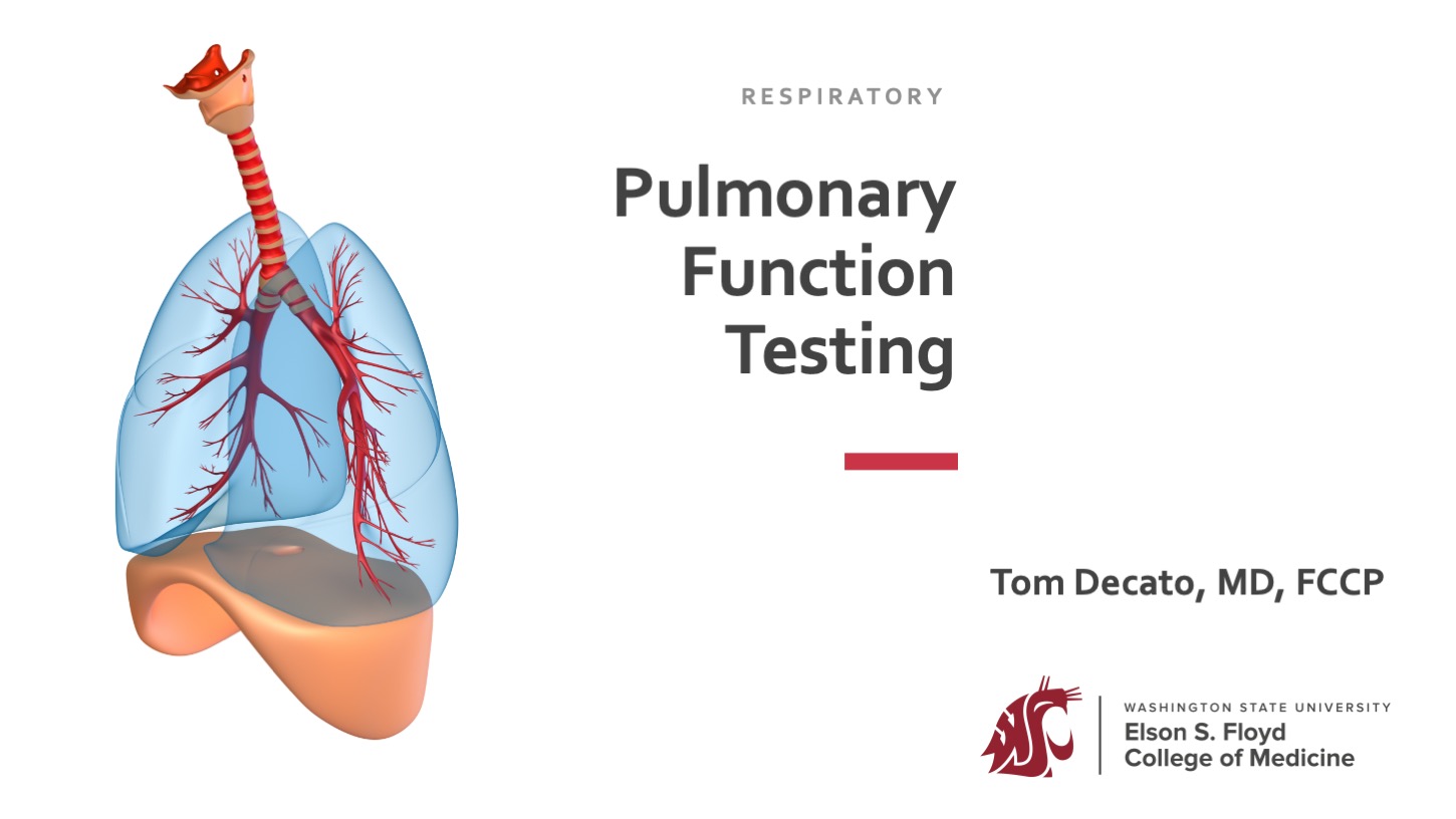 05-02-Pulmonary Function Tests AY 2024-25