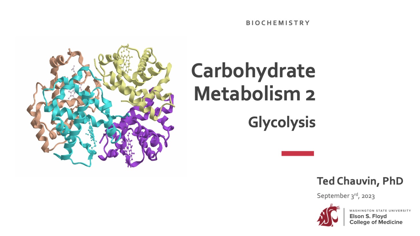 05-03-Carb Metabolism 2 Glycolysis AY 2024-25