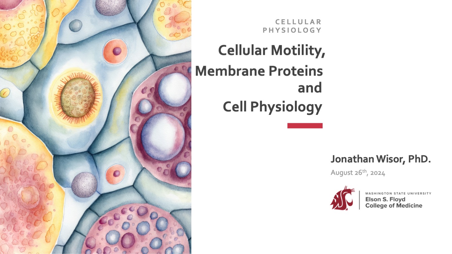 05-04-Cellular Motility Membrane Proteins and Cellular Physiology FINAL AY2024-25