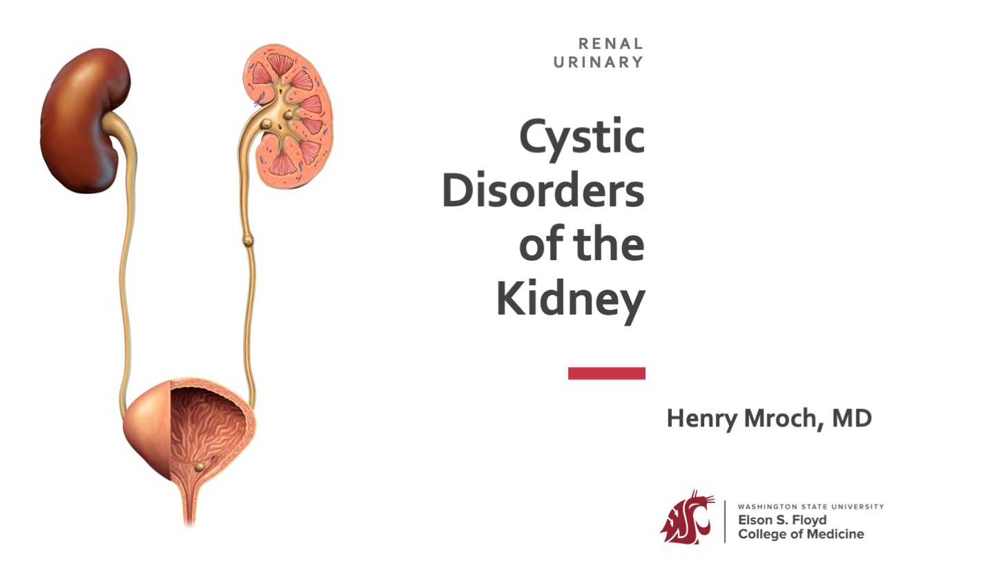 05-08-Cystic Disorders of the Kidney AY2024-25