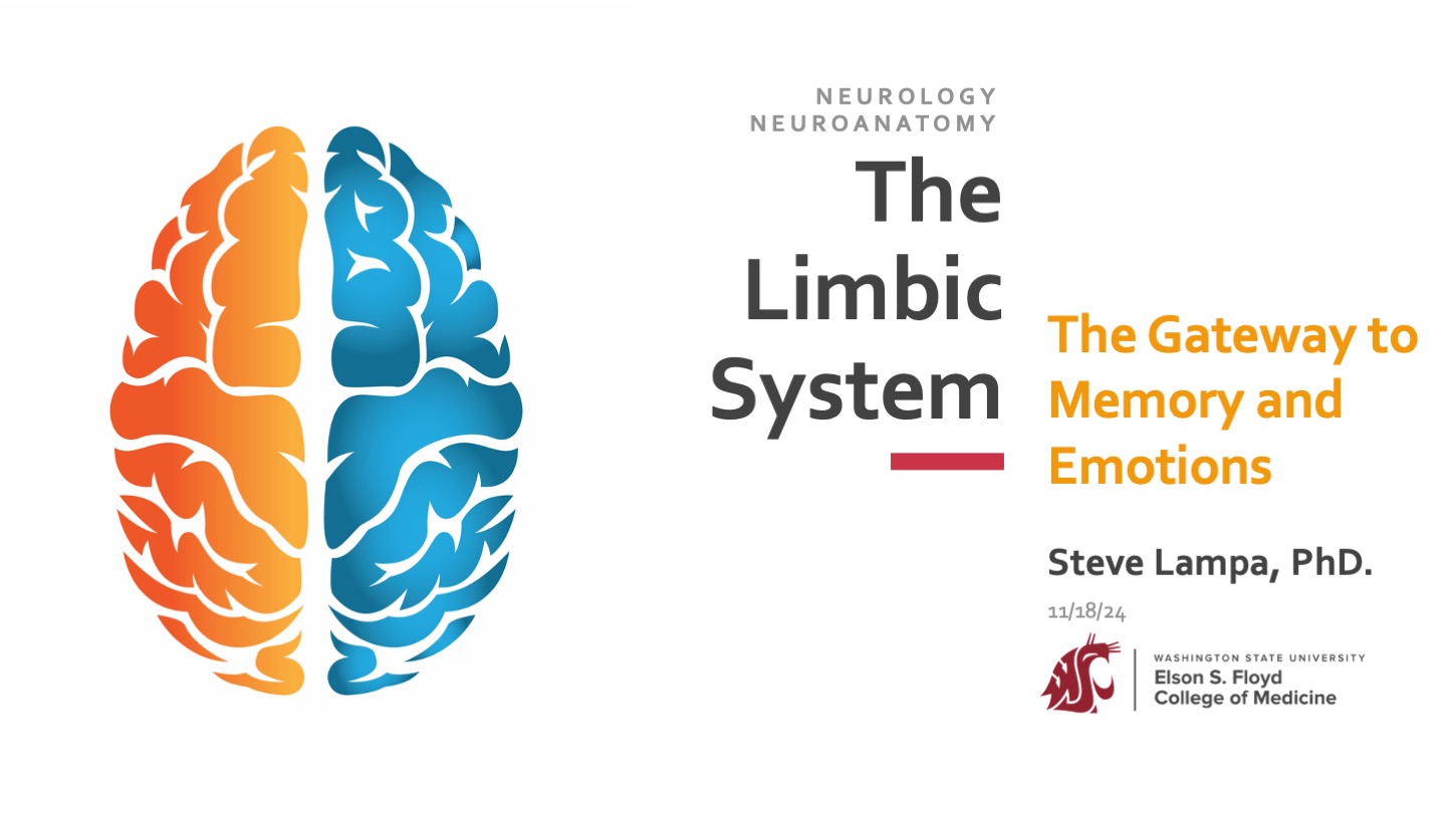 05-11-Functional Neural Circuitry_Limbic system-AY2024_111824