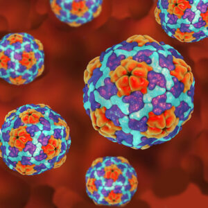 Hepatitis A virus in the liver.