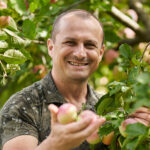 Rural farmer checking his apple trees.