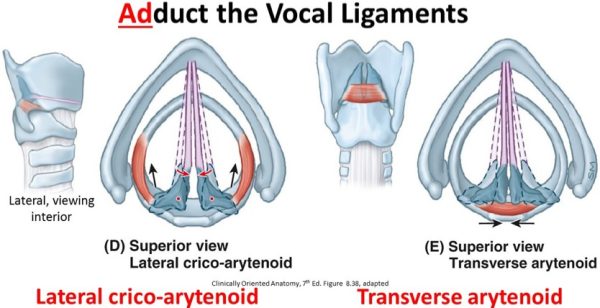 Figure 36.6.