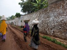 Harar Today 2